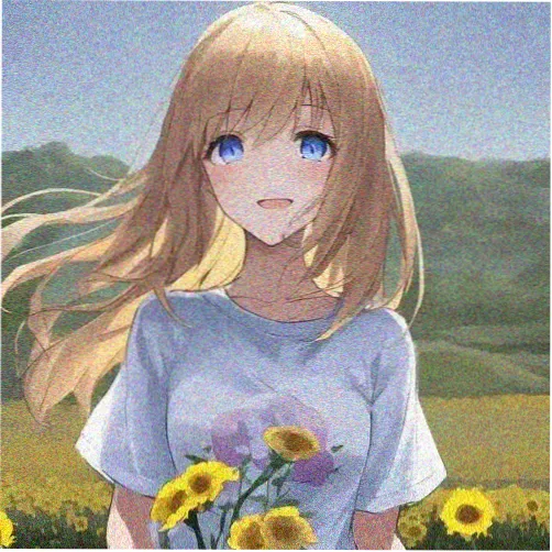观众头像 番剧仓库